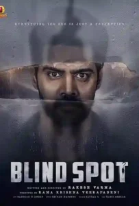 Blind Spot (2025) Multi Audio Movie Poster